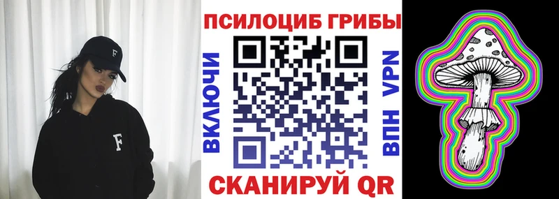 Псилоцибиновые грибы Psilocybine cubensis  Когалым 
